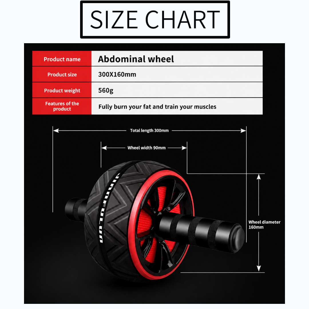 Dual Wheel Ab Roller Supports Better Core Training Jumartins